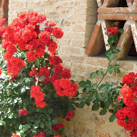 Fattoria Agriturismo Nerbona Казоле-д'Эльса Экстерьер фото