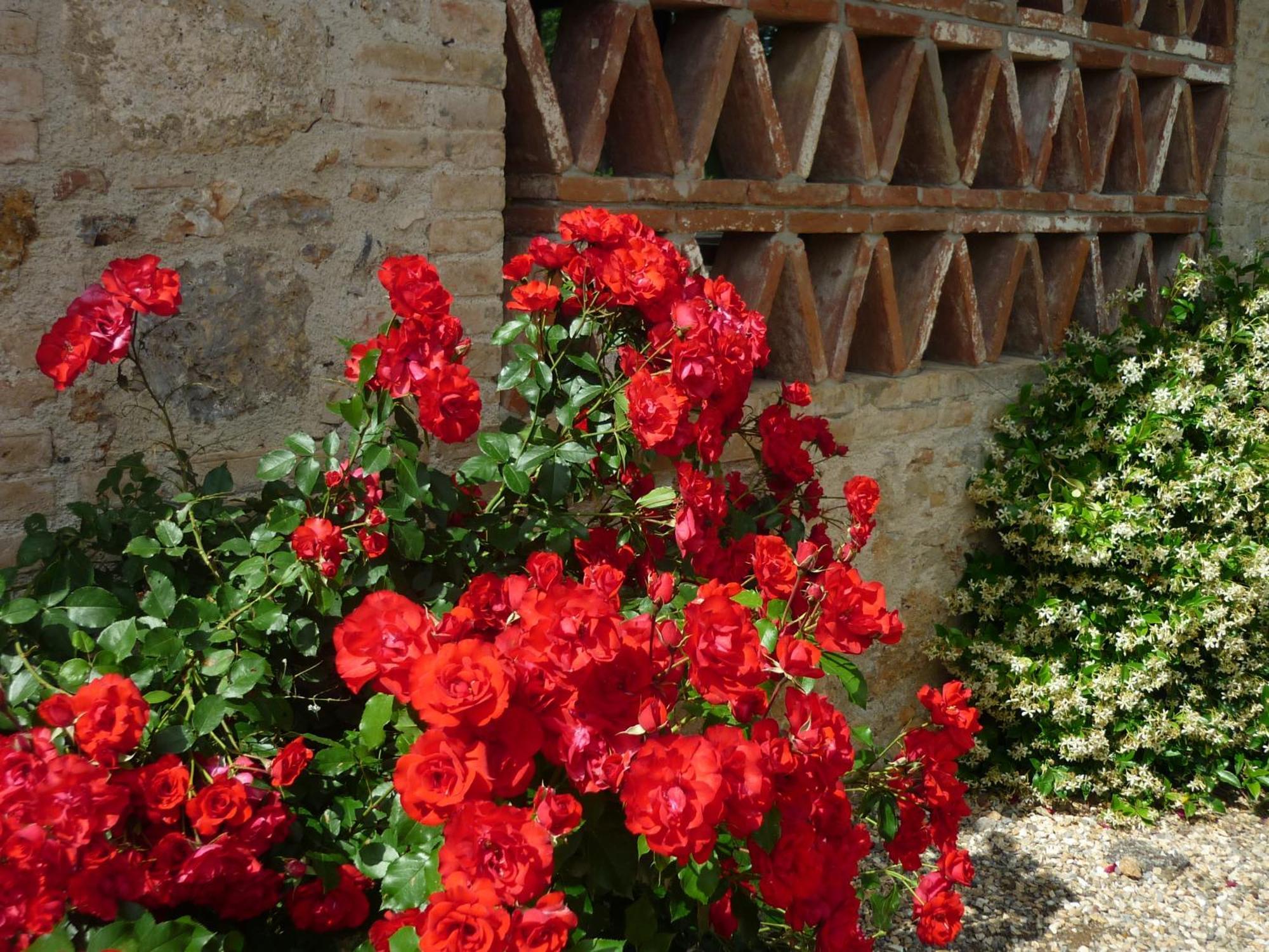 Fattoria Agriturismo Nerbona Казоле-д'Эльса Экстерьер фото