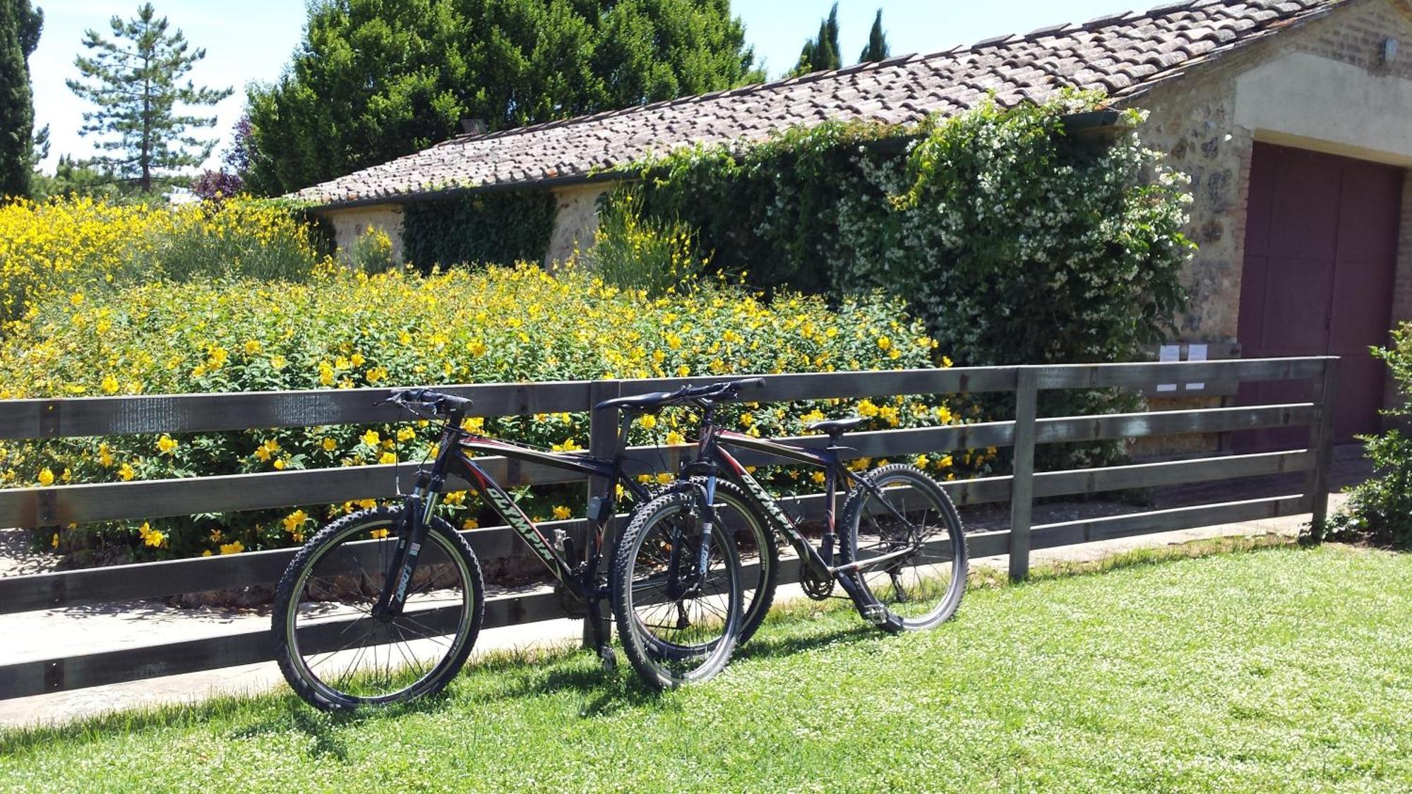 Fattoria Agriturismo Nerbona Казоле-д'Эльса Экстерьер фото